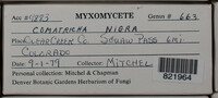 Image Associated With the Occurence